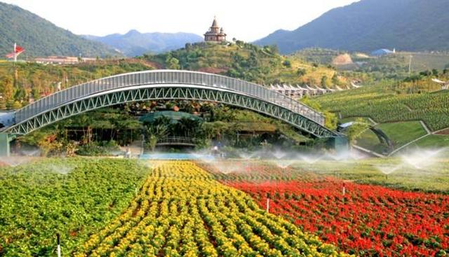 深圳東部華僑城自然之眼觀光塔（創3童話般的大城堡竟然在這裡）6