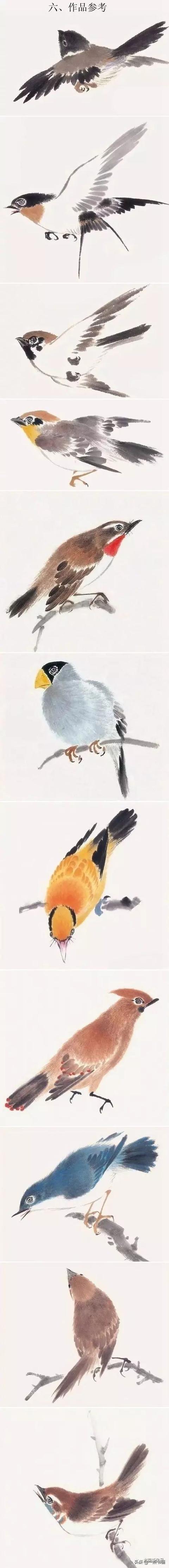 國畫飛翔的小鳥的畫法（國畫教程鳥兒的各種姿勢畫法）26