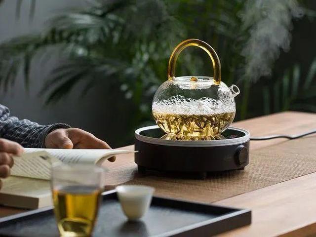 玻璃壺泡白茶的步驟（白茶用什麼壺泡最好）4