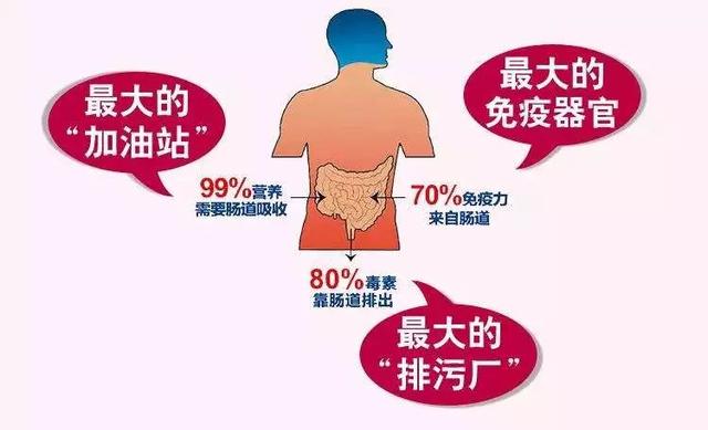 腸胃疾病可以通過糞便檢查嗎（不要忽視便便給你的信号）2
