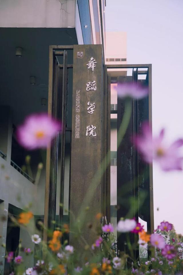 南京藝術學院 排名（江蘇省高校二十四）11