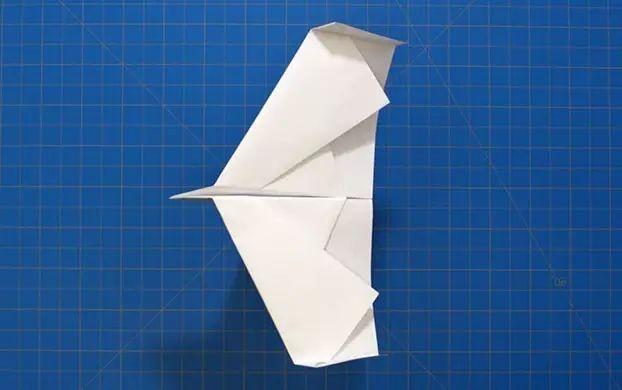 折紙飛機流程圖（聚會帶着親朋好友折紙飛機）81