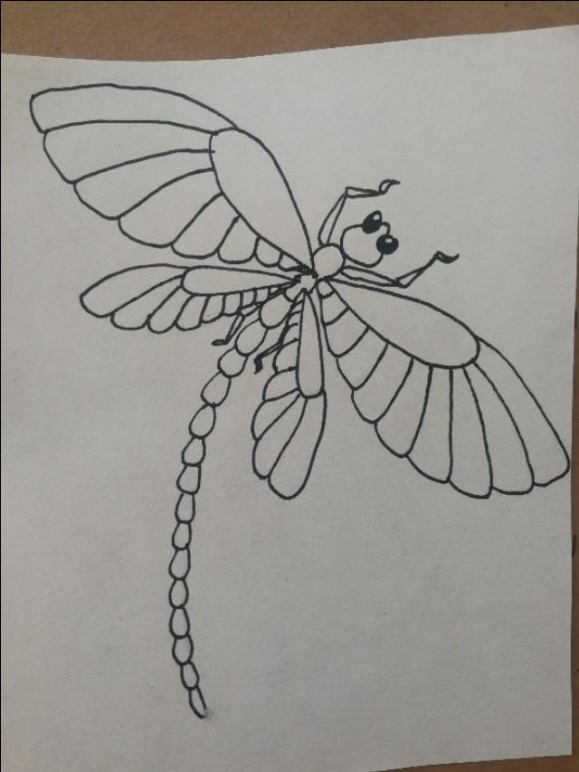 線條蜻蜓怎麼畫（超簡單的線描蜻蜓畫）4