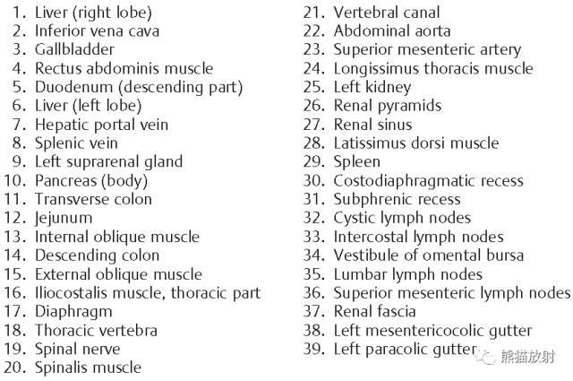 肝總管ct解剖位置（收藏上腹部CT斷層）26