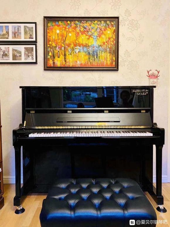 德國夏貝爾鋼琴官網三角琴（歐洲三大鋼琴品牌目錄）(33)