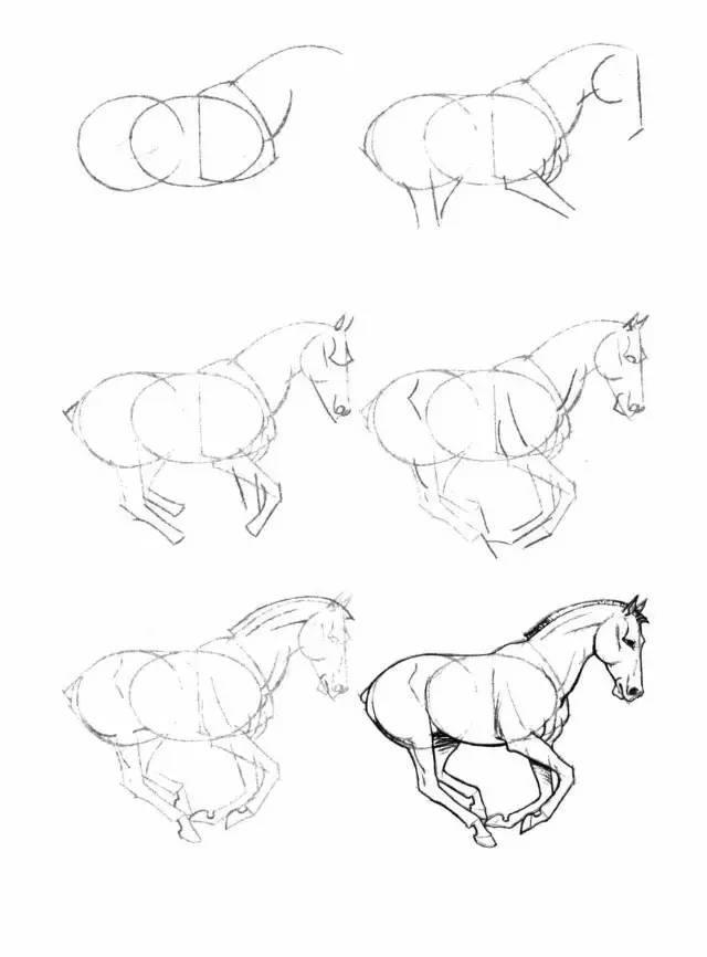 怎麼畫馬最簡單最好看帥氣（幹貨不會畫馬教你40種馬的結構畫法）26