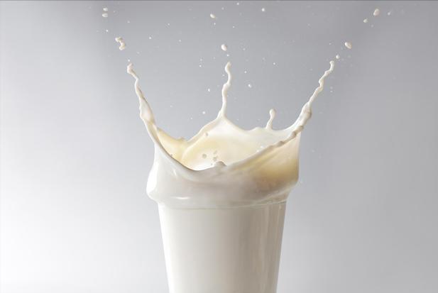 0脂純牛奶真的能減肥嗎（牛奶可以減肥增脂嗎）1