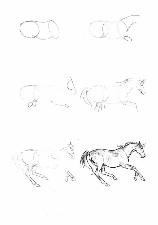 怎麼畫馬最簡單最好看帥氣（幹貨不會畫馬教你40種馬的結構畫法）34