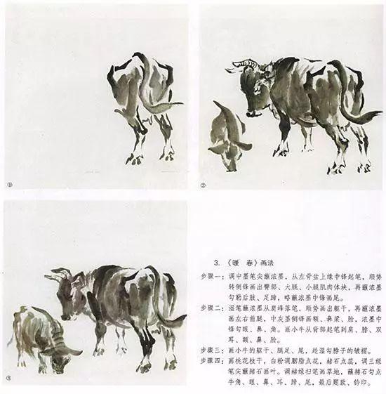 牛的國畫筆法（國畫教程牛的畫法）10