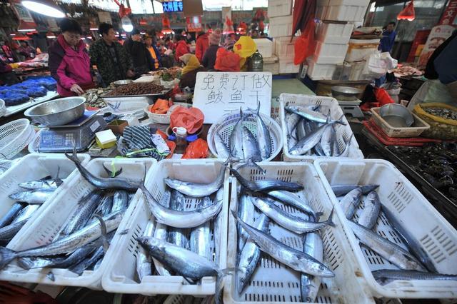 适合人工養殖的魚排名（老漁民推薦的這6種魚）11