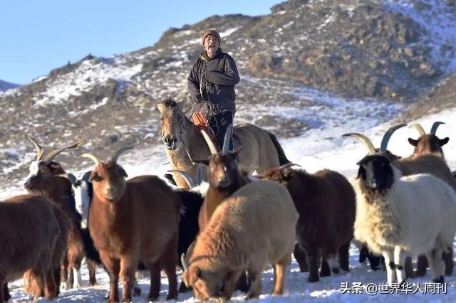 蒙古國漢人現在的生活（蒙古國現在有多慘）11