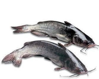 江中鮰魚如何熬湯（家常版的炖鮰魚）1