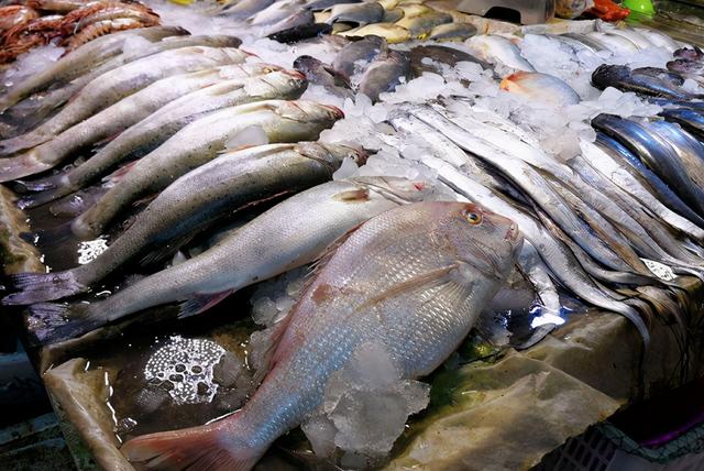 人工養殖海産魚有哪些種類（海鮮市場裡這4種魚）2