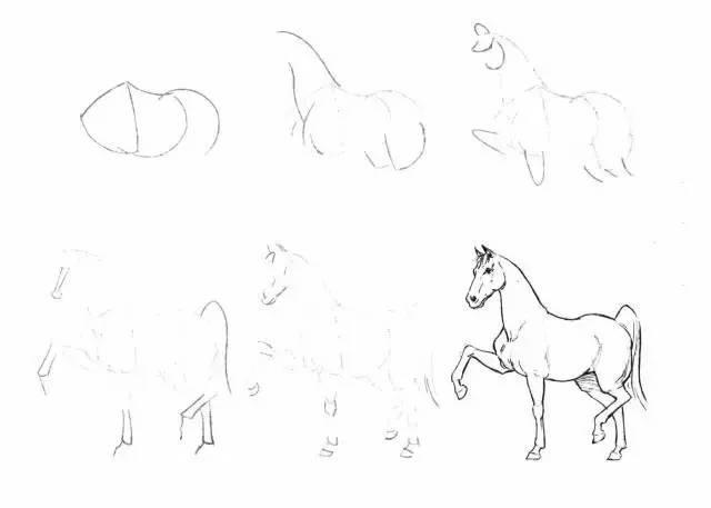 怎麼畫馬最簡單最好看帥氣（幹貨不會畫馬教你40種馬的結構畫法）3