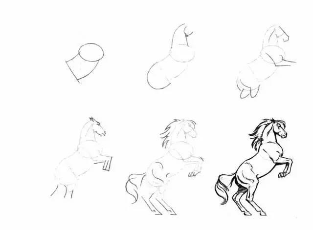 怎麼畫馬最簡單最好看帥氣（幹貨不會畫馬教你40種馬的結構畫法）2
