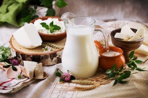 牛奶補鈣效果為什麼比較好（牛奶真的能補鈣嗎）2