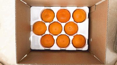 如何選到又甜又好吃的橘子（好吃到哭的流蜜爆汁橘子）32