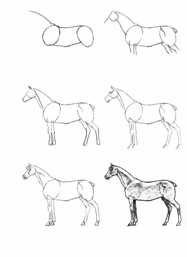 怎麼畫馬最簡單最好看帥氣（幹貨不會畫馬教你40種馬的結構畫法）10
