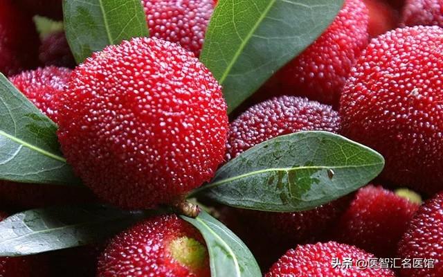 慢性咽炎可以吃的水果有哪些（慢性咽炎必吃的5種水果）7