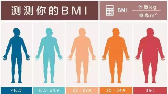 健身男人體重表（欣賞下健身圈福利）11