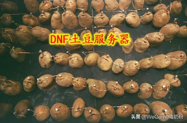 dnf團本無響應（DNF土豆服務器）3