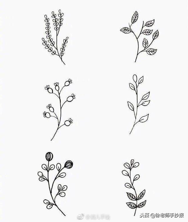 關于植物的手抄報簡單又漂亮（54種小植物手抄報花邊素材）6