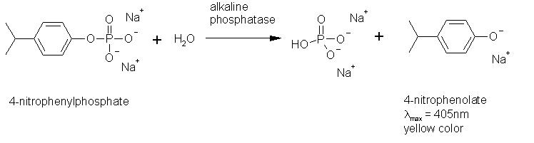 堿性磷酸酶超了參考值40正常嗎（一個被誤解的肝功能指标）5