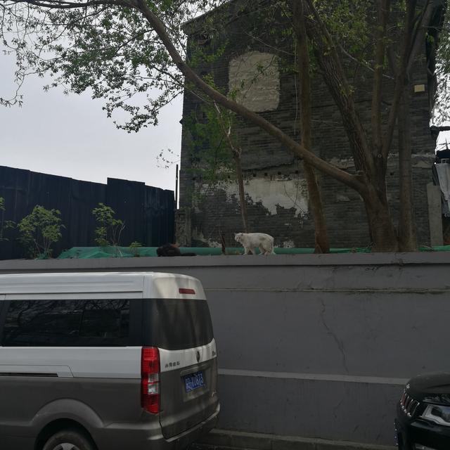 前門東大街周邊拆遷（北京市東城區的崇文門西河沿街具有交通功能）9