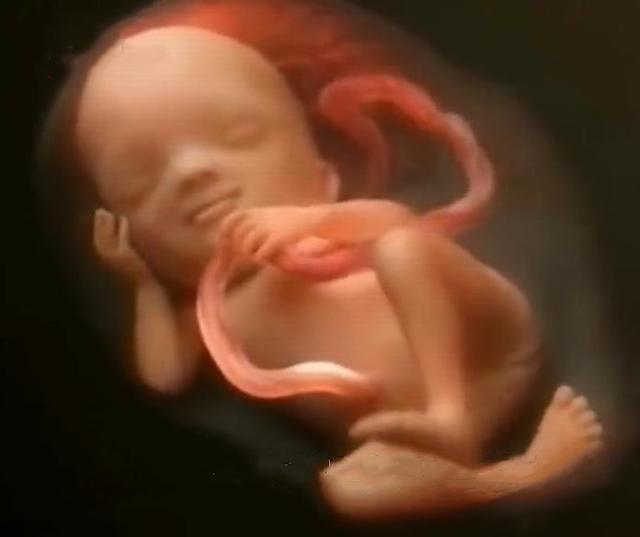 懷孕16周有胎動是什麼樣子的（胎動最早什麼時候出現）7