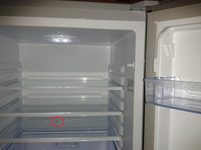 冰箱異味怎麼去除最有效（冰箱有異味怎麼辦）2