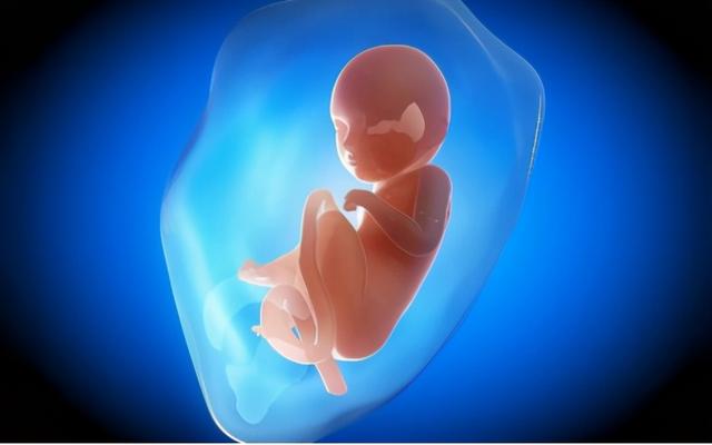 孕期胎兒的胎動是怎麼樣的（關于胎兒胎動不了解）3