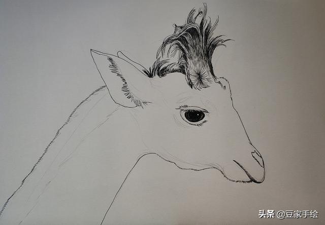 怎麼畫超級簡單的長頸鹿（手把手教你畫黑白長頸鹿）3