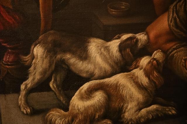 古代最早的寵物狗（古羅馬的狗有多幸福）(16)