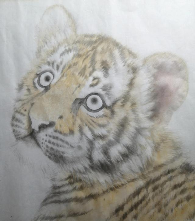 老虎的畫法素描霸氣（老虎的畫法）6