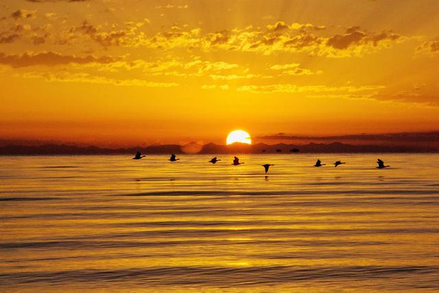 青海湖最開始形成鹹水湖的原因（每年增加4個西湖水量）13