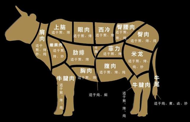 牛肉的最佳配料（食材百科-牛肉）4