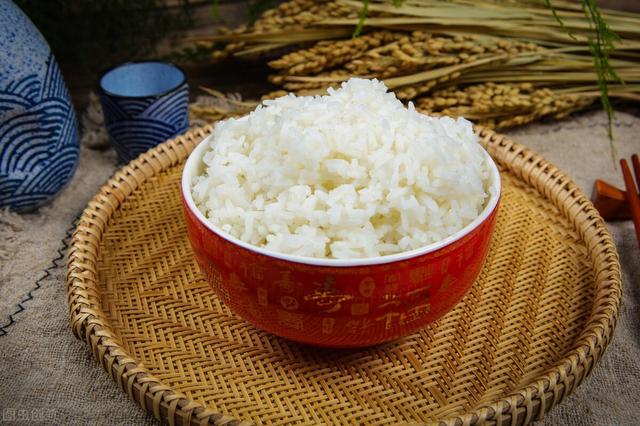 不吃米飯和面條可以減肥嗎（為何不吃米和面）1