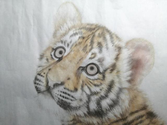 老虎的畫法素描霸氣（老虎的畫法）9