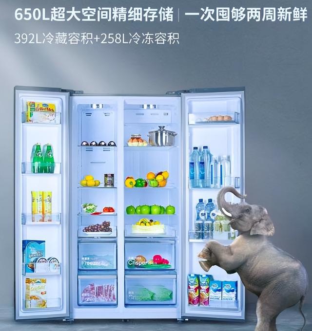 專門冷藏的冰箱有哪些（未雨綢缪成為常态）19