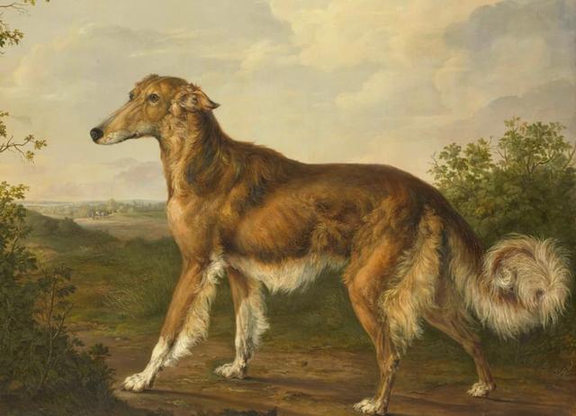 古代最早的寵物狗（古羅馬的狗有多幸福）(7)