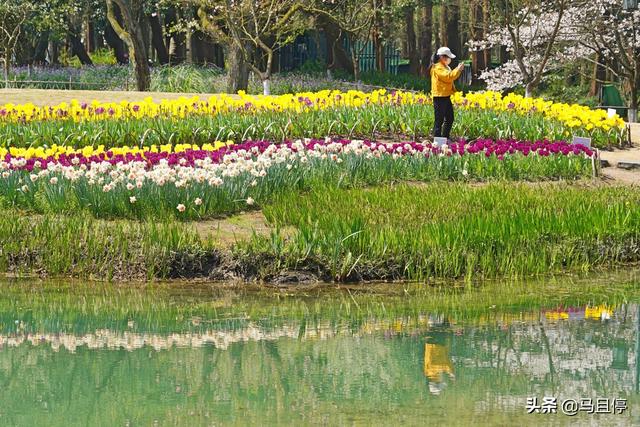 杭州春季旅遊最佳去處（杭州适合賞春的3個景點）11