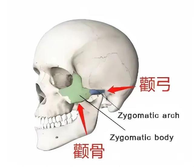 山東省颌面外科專家排名（韋敏主任科普面部輪廓）9
