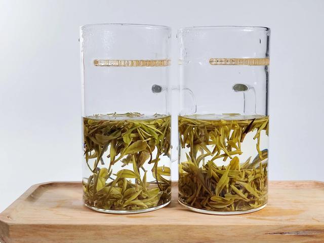 江南五選白茶是什麼茶種（江蘇綠楊春茶與浙江安吉白茶對沖評測）12