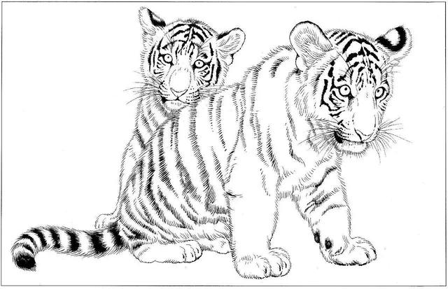 老虎卡通畫2022虎年（28張老虎黑白線描圖）11