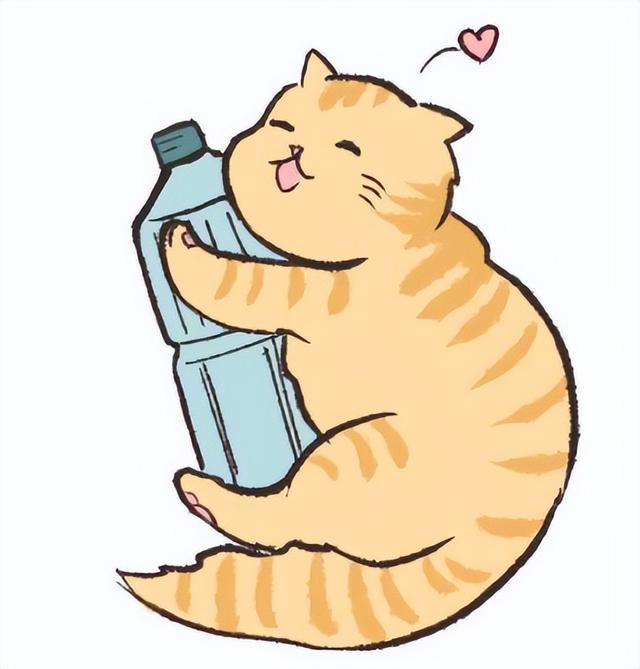 小貓咪怎麼才能吃飯（如何增加小貓咪喝水呢）8