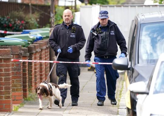 英國10歲男孩慘遭殺害（一名男子承認在倫敦的家中殺害了同一家庭的四名成員）2