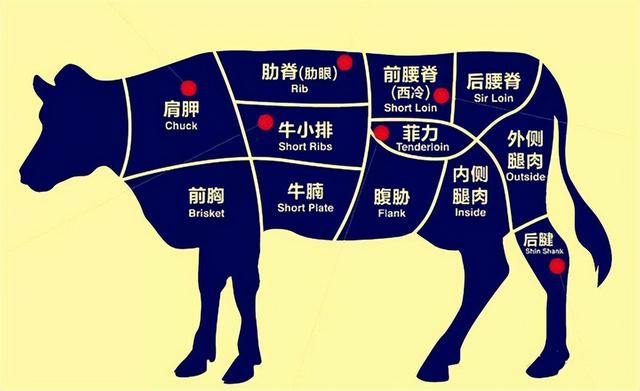 牛肉的最佳配料（食材百科-牛肉）2