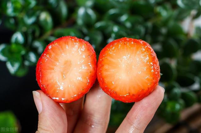 丹東一年産多少草莓（全國到處都在賣）2