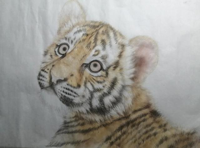 老虎的畫法素描霸氣（老虎的畫法）8