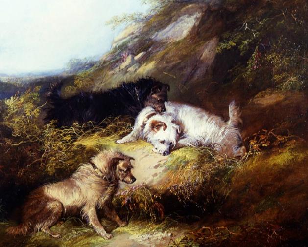 古代最早的寵物狗（古羅馬的狗有多幸福）(11)